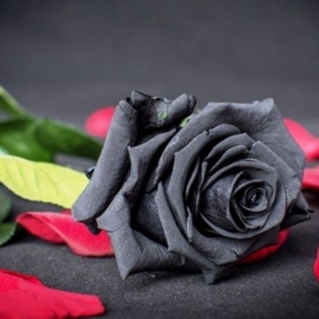 Αυτοί είναι οι συνδυασμοί ζωδίων για μια σχέση αγάπης - μίσους