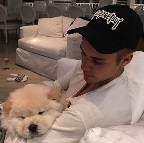 Ο σκύλος του Justin Bieber έχει δικό του λογαριασμό στο Instagram