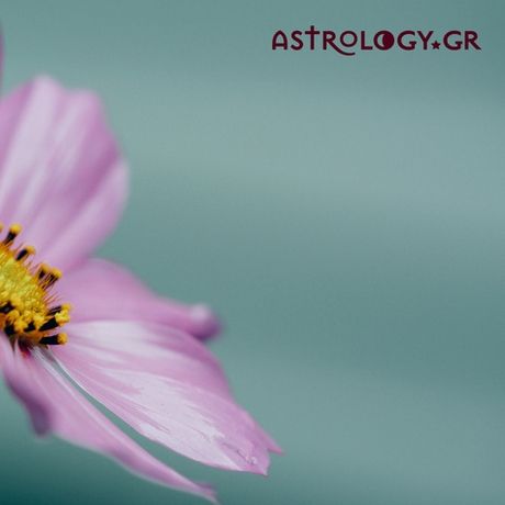 Ζώδια Σήμερα 06/06: Η Αφροδίτη μπαίνει στον Ταύρο