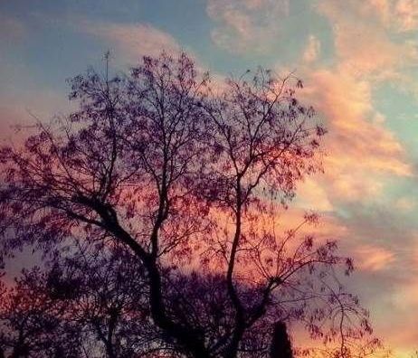 Η πιο όμορφη φωτογραφία της άνοιξης! (εικόνα)