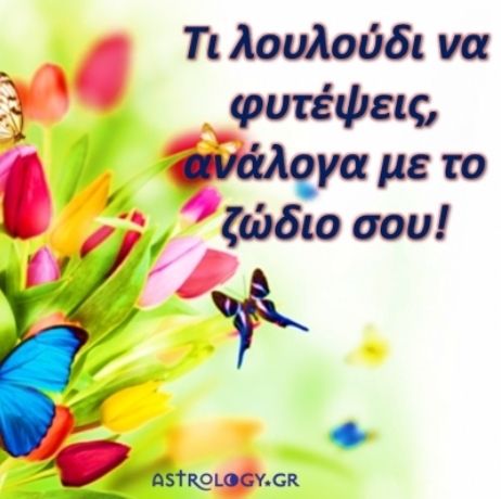 Τι λουλούδι να φυτέψεις ανάλογα με το ζώδιό σου!