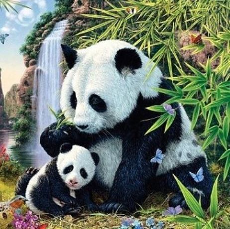 Κουίζ: Μπορείτε να βρείτε τα 12 κρυμμένα πάντα;