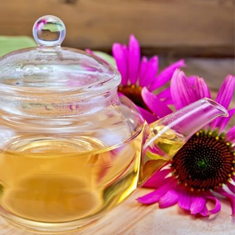 Πες μου τι ζώδιο είσαι, να σου πω ποιο βότανο να πάρεις!