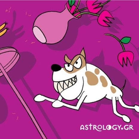 Γιατί δεν πρέπει να τα βάλεις με ένα ζώδιο