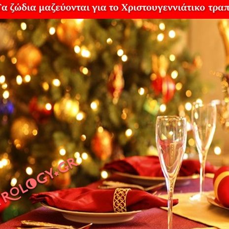 Τα 12 ζώδια μαζεύονται για το Χριστουγεννιάτικο τραπέζι...