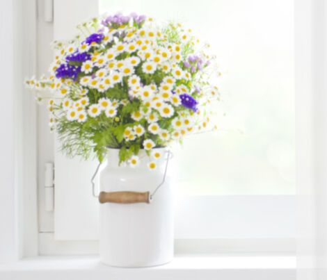 Ημερήσιες Προβλέψεις για όλα τα Ζώδια 23/04