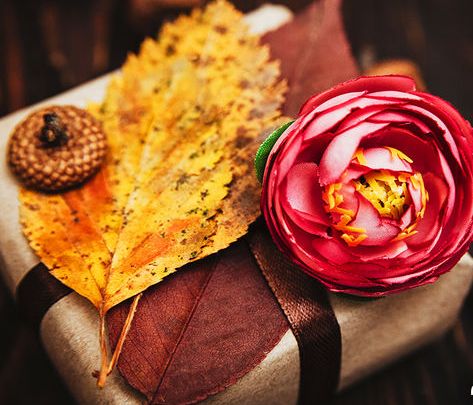 Ημερήσιες Προβλέψεις για όλα τα Ζώδια 14/11