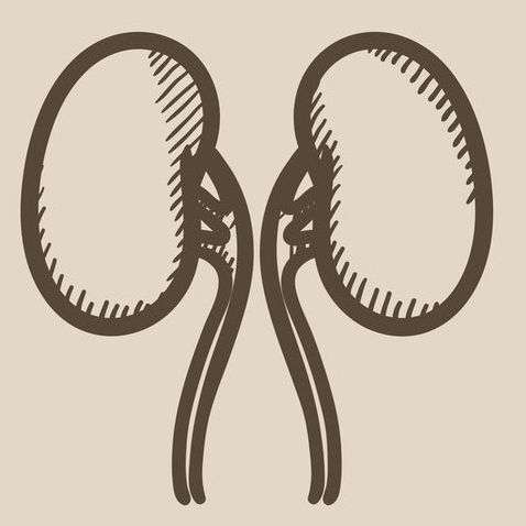 Η δίαιτα που προστατεύει από τη χρόνια νεφροπάθεια