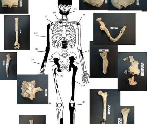 Μεγάλη ανατροπή στην Αμφίπολη: Πέντε οι νεκροί στον τάφο!