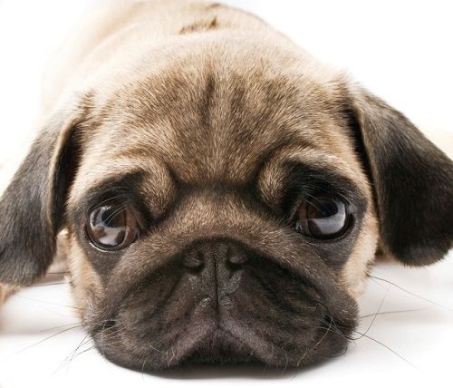 Καθρέφτη, καθρεφτάκι μου