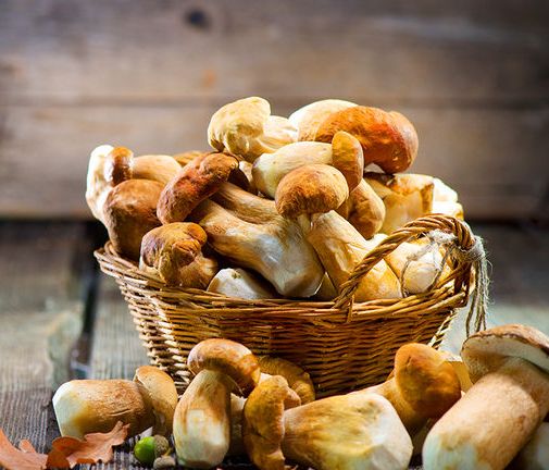 Ημερήσιες Προβλέψεις για όλα τα Ζώδια 26/10