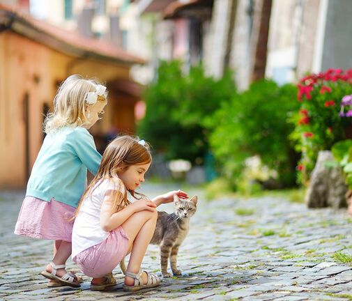 Διάβασε ΔΩΡΕΑΝ την προσωπική σου πρόβλεψη, για σήμερα 25/06/2020