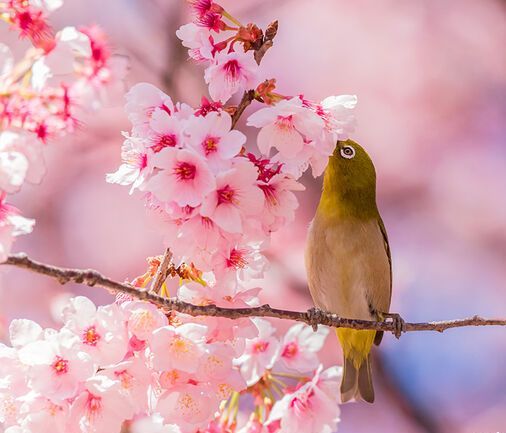 Διάβασε ΔΩΡΕΑΝ την προσωπική σου πρόβλεψη, για σήμερα 26/04/2020