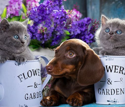 Διάβασε ΔΩΡΕΑΝ την προσωπική σου πρόβλεψη, για σήμερα 22/04/2020