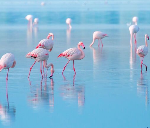 Διάβασε ΔΩΡΕΑΝ την προσωπική σου πρόβλεψη, για σήμερα 24/04/2020
