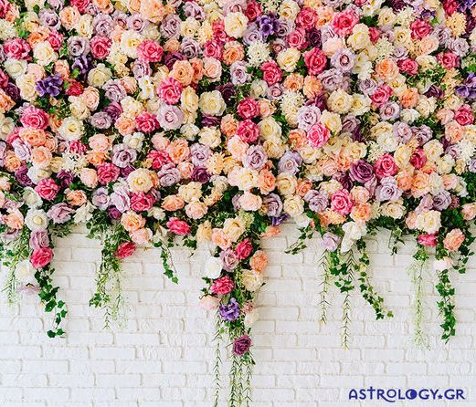 Ημερήσιες Προβλέψεις για όλα τα Ζώδια 06/05