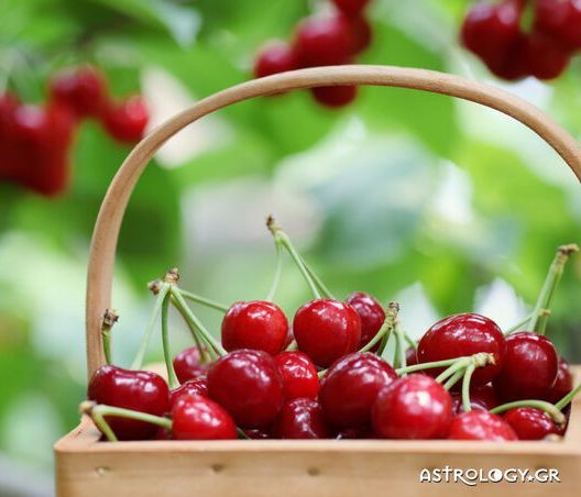 Ημερήσιες Προβλέψεις για όλα τα Ζώδια 27/05
