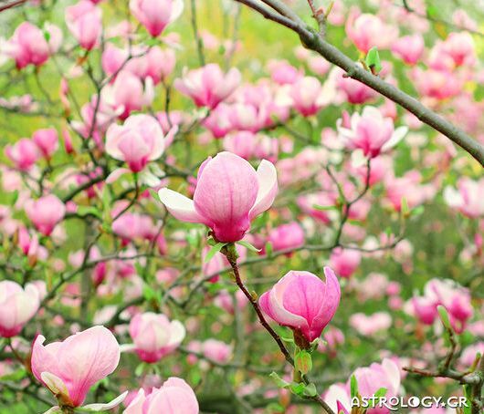 Διάβασε ΔΩΡΕΑΝ την προσωπική σου πρόβλεψη, για σήμερα 04/05/2020