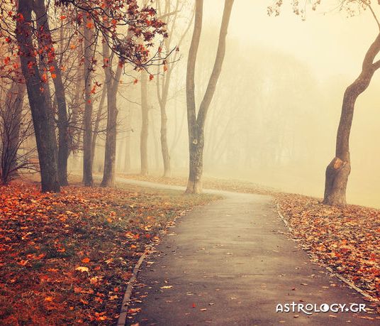 Ημερήσιες Προβλέψεις για όλα τα Ζώδια 08/11