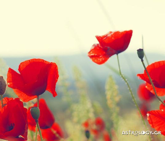 Ημερήσιες Προβλέψεις για όλα τα Ζώδια 17/05