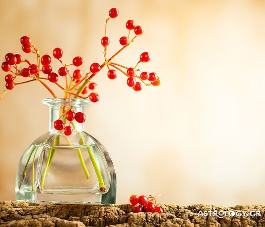 Ημερήσιες Προβλέψεις για όλα τα Ζώδια 02/09