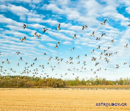 Ημερήσιες Προβλέψεις για όλα τα Ζώδια 05/09
