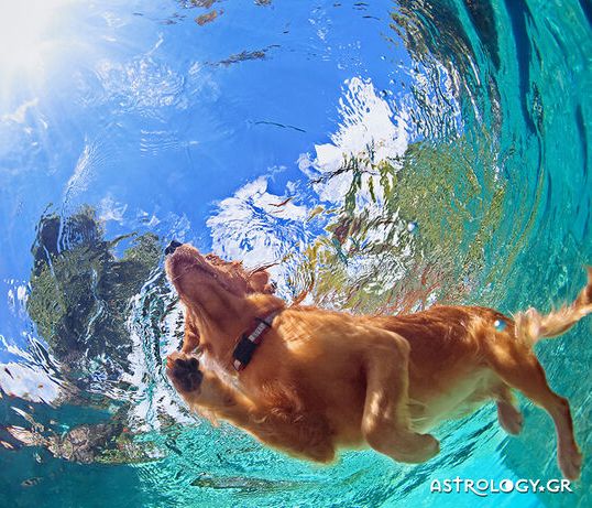 Διάβασε ΔΩΡΕΑΝ την προσωπική σου πρόβλεψη, για σήμερα 09/06/2020