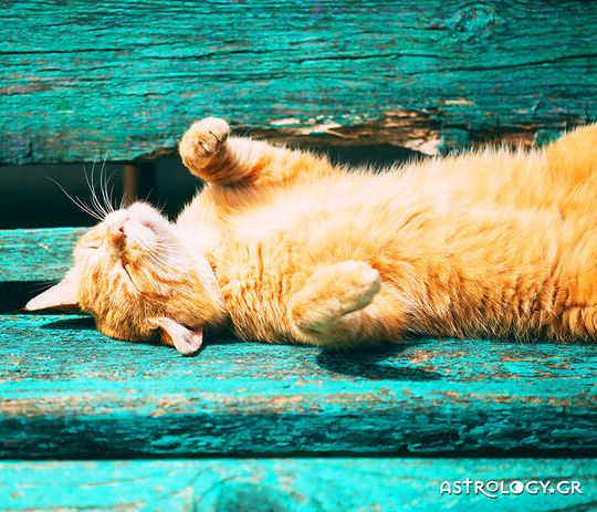 Διάβασε ΔΩΡΕΑΝ την προσωπική σου πρόβλεψη, για σήμερα 05/06/2020