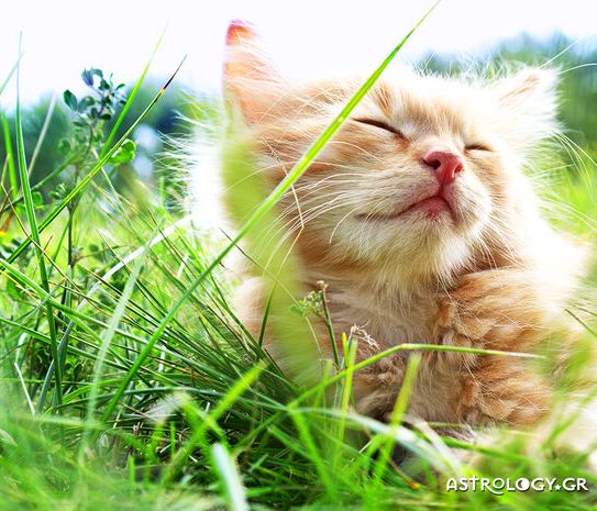 Διάβασε ΔΩΡΕΑΝ την προσωπική σου πρόβλεψη, για σήμερα 15/05/2020