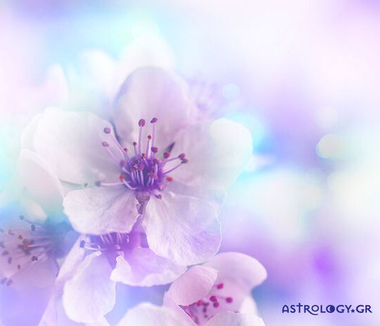 Διάβασε ΔΩΡΕΑΝ την προσωπική σου πρόβλεψη, για σήμερα 16/05/2020