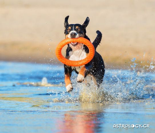 Διάβασε ΔΩΡΕΑΝ την προσωπική σου πρόβλεψη, για σήμερα 29/06/2020