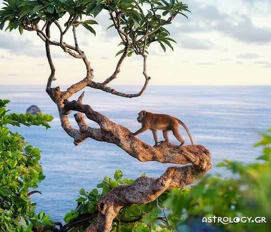 Διάβασε ΔΩΡΕΑΝ την προσωπική σου πρόβλεψη, για σήμερα 24/07/2020