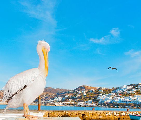 Διάβασε ΔΩΡΕΑΝ την προσωπική σου πρόβλεψη, για σήμερα 08/08/2020
