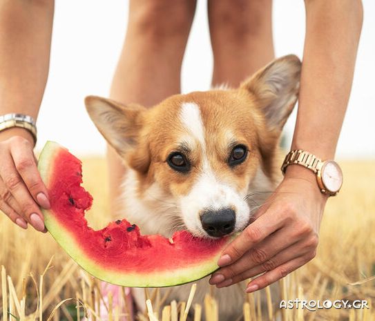 Διάβασε ΔΩΡΕΑΝ την προσωπική σου πρόβλεψη, για σήμερα 17/08/2020