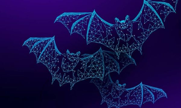 Μήπως είδες στο όνειρό σου νυχτερίδα;