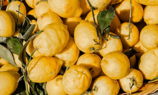 Δύο σταγόνες στο κουβά και το σπίτι σου μοσχοβολά για μέρες