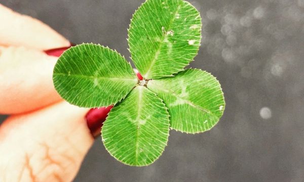 6 μικρές συνήθειες των ανθρώπων που προσελκύουν φυσικά την τύχη