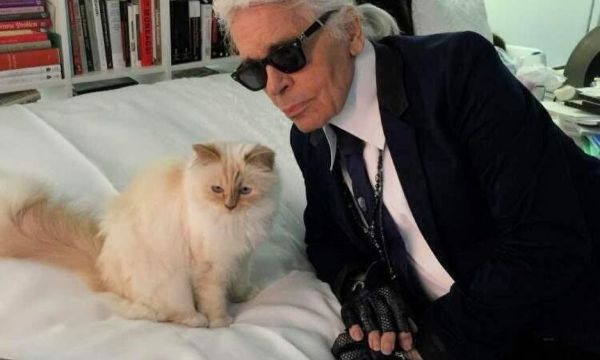 Χρεοκόπησε η Choupette; Η αλήθεια για τη γάτα του Karl Lagerfeld και το μερίδιο της κληρονομιάς