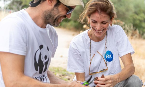 Πώς ένας μόνο κώνος μπορεί να γίνει η αρχή για ένα μελλοντικό δάσος