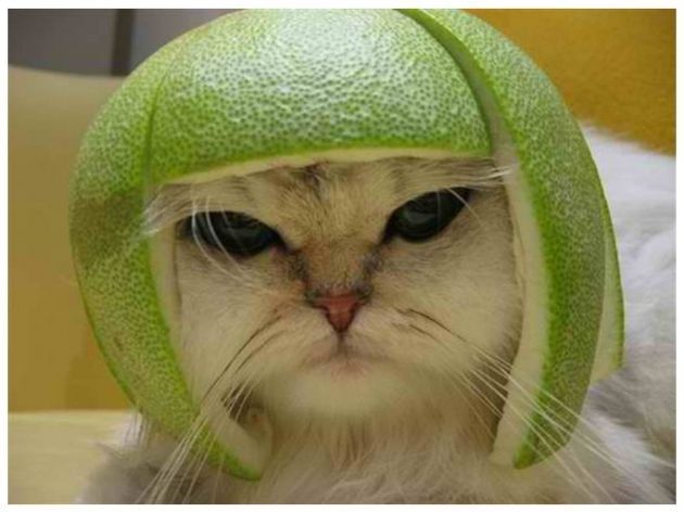 Αισθάνομαι λίγο άβολα καλό μου ζώδιο… Τι έχεις να πεις?