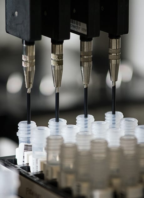 <p>Μεταπτυχιακή φοιτήτρια Βιοϊατρικής Μηχανικής</p>
<p>(Πολυτεχνείο Μονάχου, Γερμανία), STEM Representative</p>