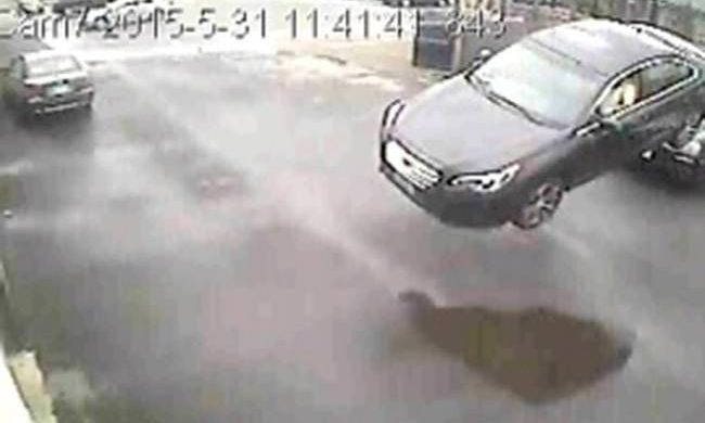 Σοκαριστικό ατύχημα: Αυτοκίνητο... πέταξε στον αέρα - Σώθηκε από θαύμα ο οδηγός (video)