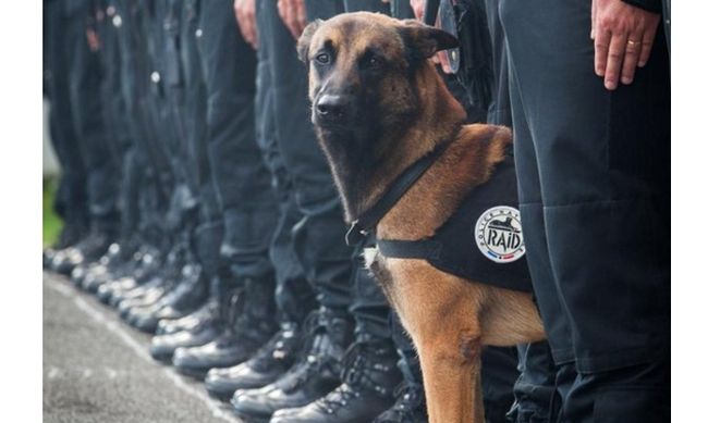 Επίθεση Παρίσι: Θύμα των τρομοκρατών και ο Ντίζελ