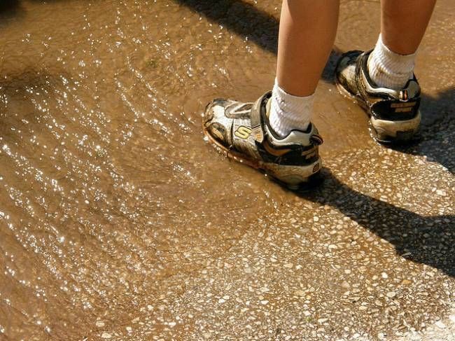 Κέρδισε το βραβείο του πιο βρωμερού... παπουτσιού! (βίντεο)