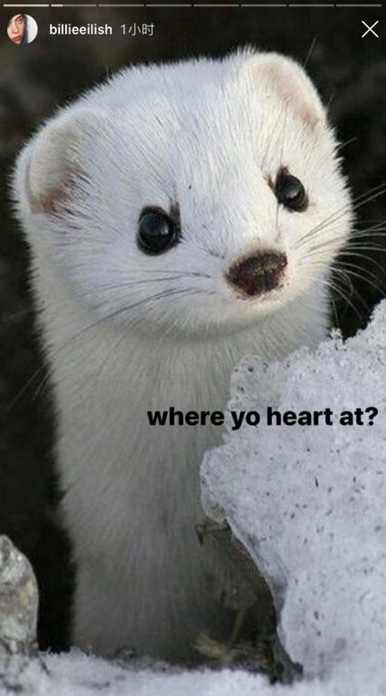 «Σας πάει η καρδιά να κάνετε κάτι τέτοιο;», συνέχισε.