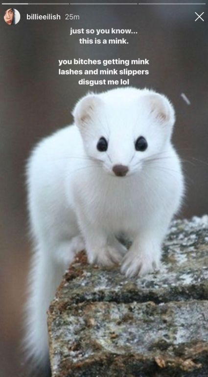 «Αυτό εδώ είναι γούνα ζώου. Εσείς που αγοράζετε γούνες για παλτό και βλεφαρίδες με αηδιάζετε πολύ», έγραψε η Billie Eilish.