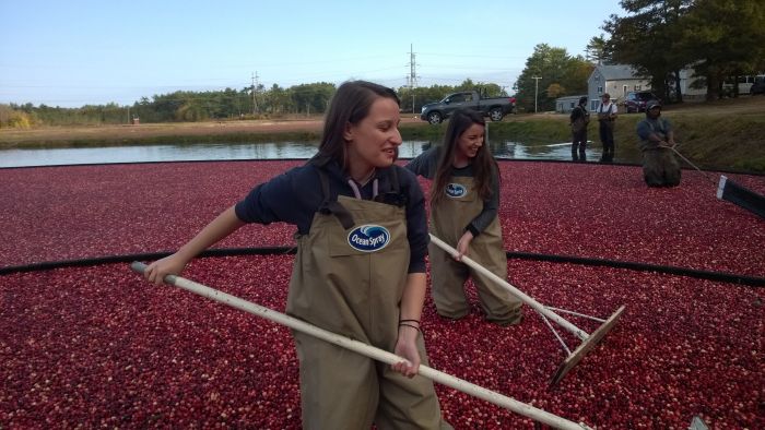 Moments of “EXPERIENCE THE ORIGINAL” από την Ocean Spray