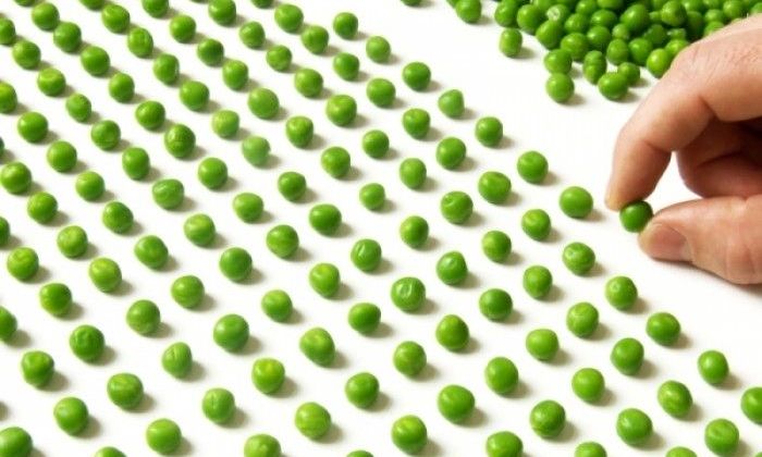 Ψυχολογικό τεστ με εικόνες: Μήπως είστε ψυχαναγκαστικοί;