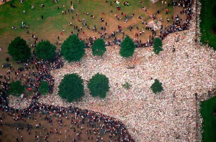 Princess Diana AP Was There The Journalists