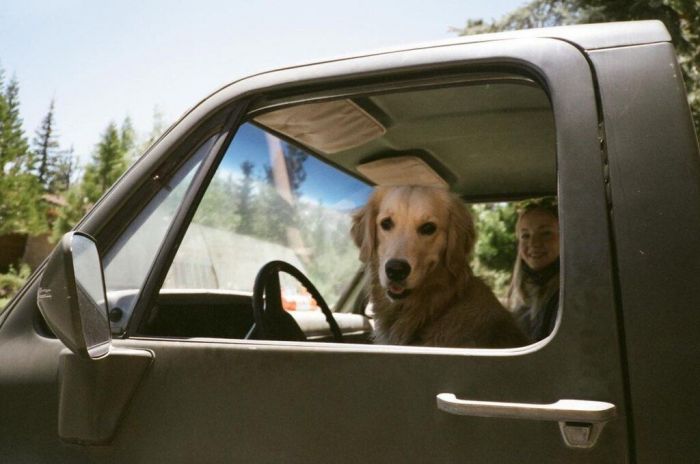 Ο Joe Jonas μίλησε για την πατρότητα και την κόρη του Willa